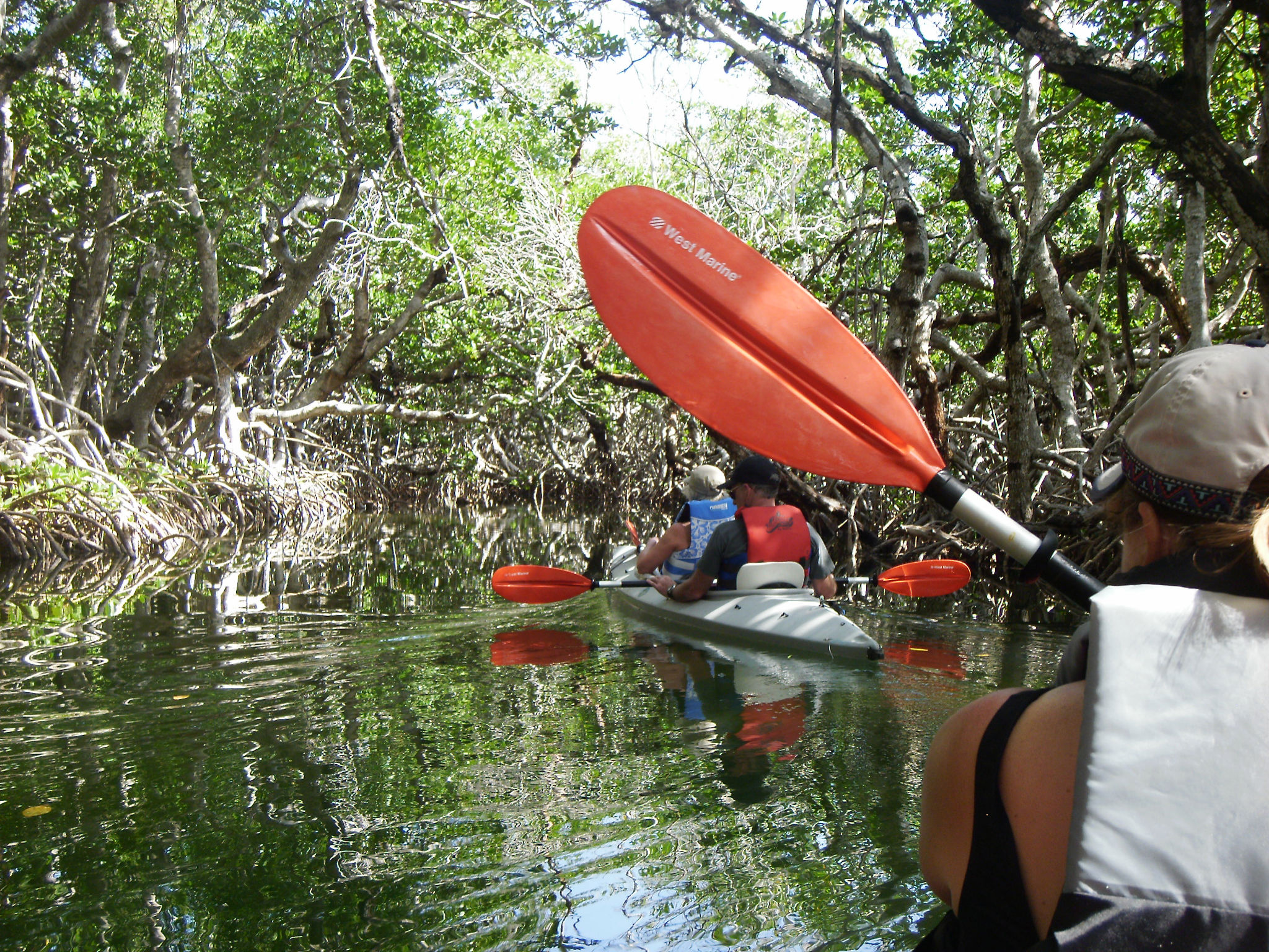 Everglades kayaking
